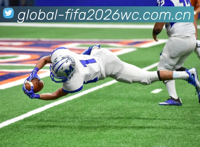 FIFA官方数据授权证书